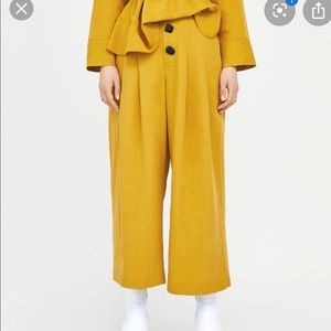 Bloggers Favorite Zara Cullotes